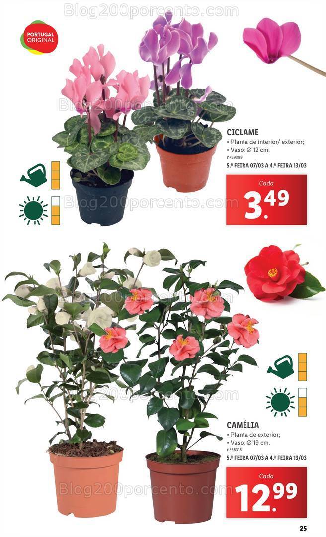 Antevisão Folheto LIDL Especial Jardim Promoções a partir de 7 março