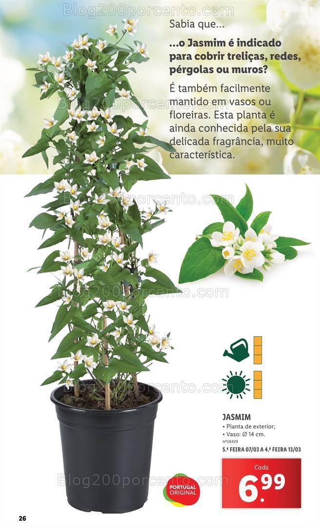 Antevisão Folheto LIDL Especial Jardim Promoções a partir de 7 março