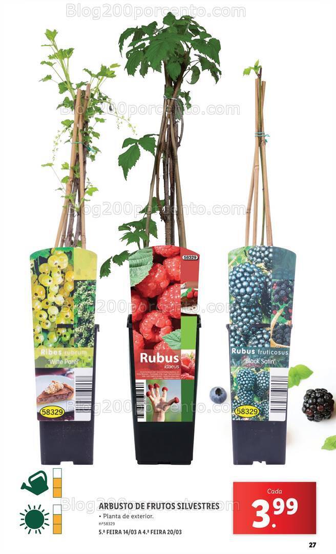 Antevisão Folheto LIDL Especial Jardim Promoções a partir de 7 março