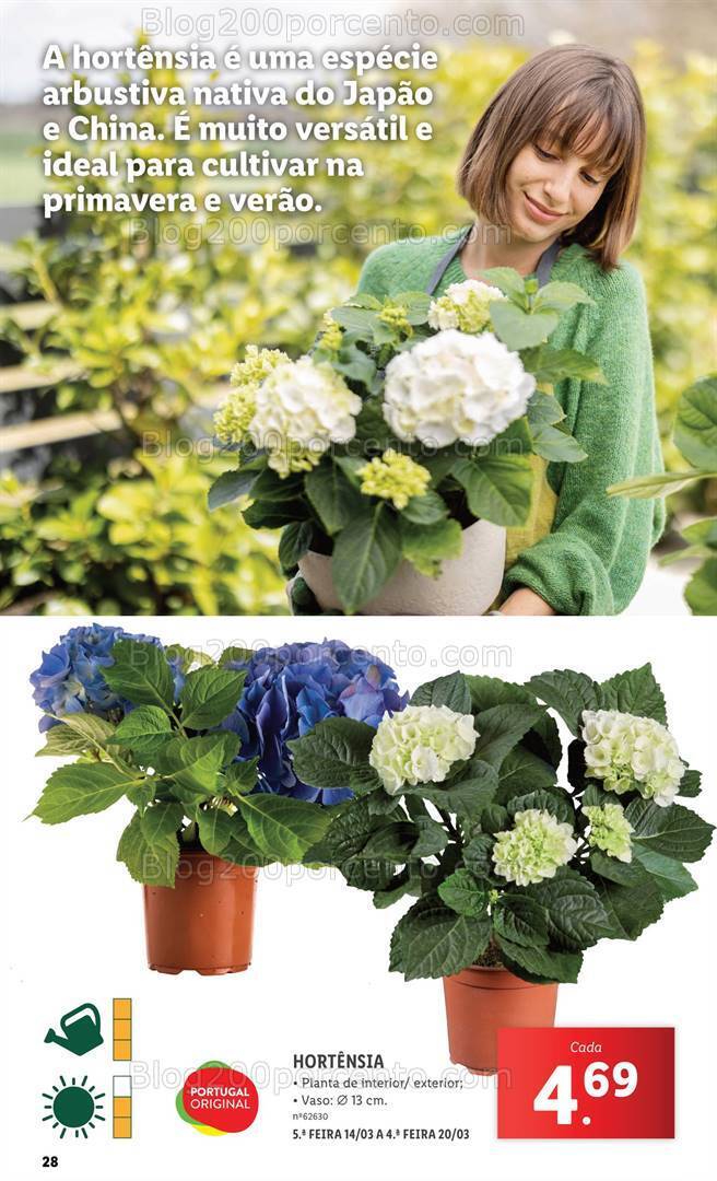 Antevisão Folheto LIDL Especial Jardim Promoções a partir de 7 março