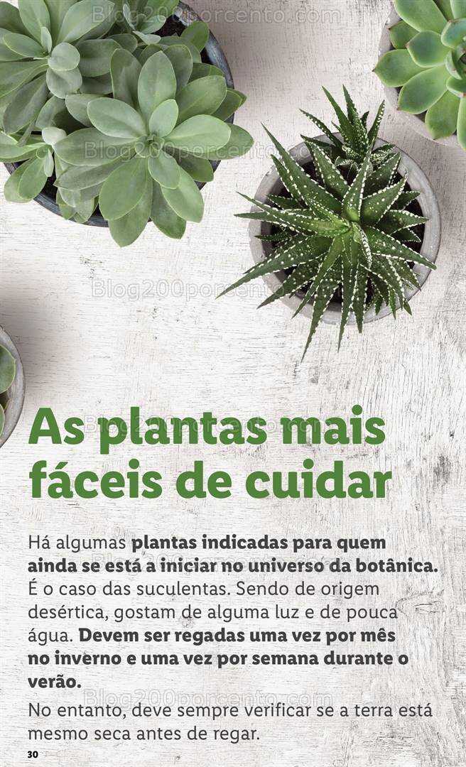 Antevisão Folheto LIDL Especial Jardim Promoções a partir de 7 março