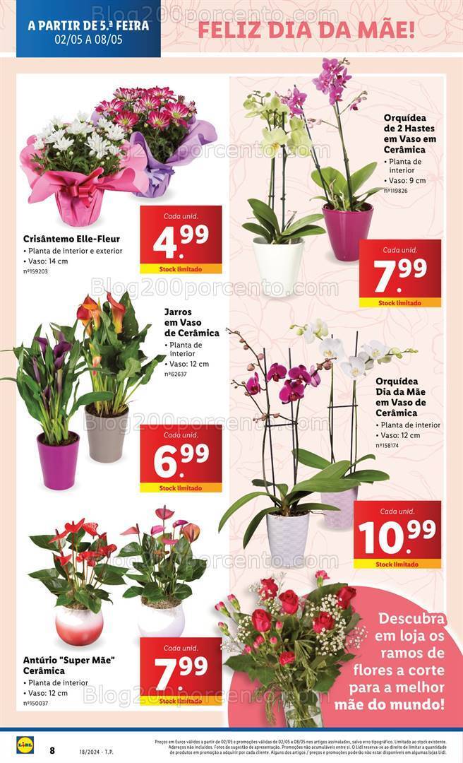 Antevisão Folheto LIDL Mercado de Plantas - Especial Dia da Mãe 2 a 8 maio