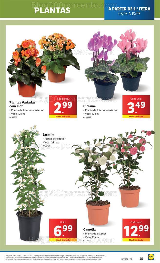 Antevisão Folheto LIDL Mercado de Plantas Promoções de 7 a 13 março