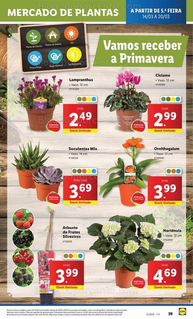 Antevisão Folheto LIDL Mercado de Plantas Promoções de 14 a 20 março