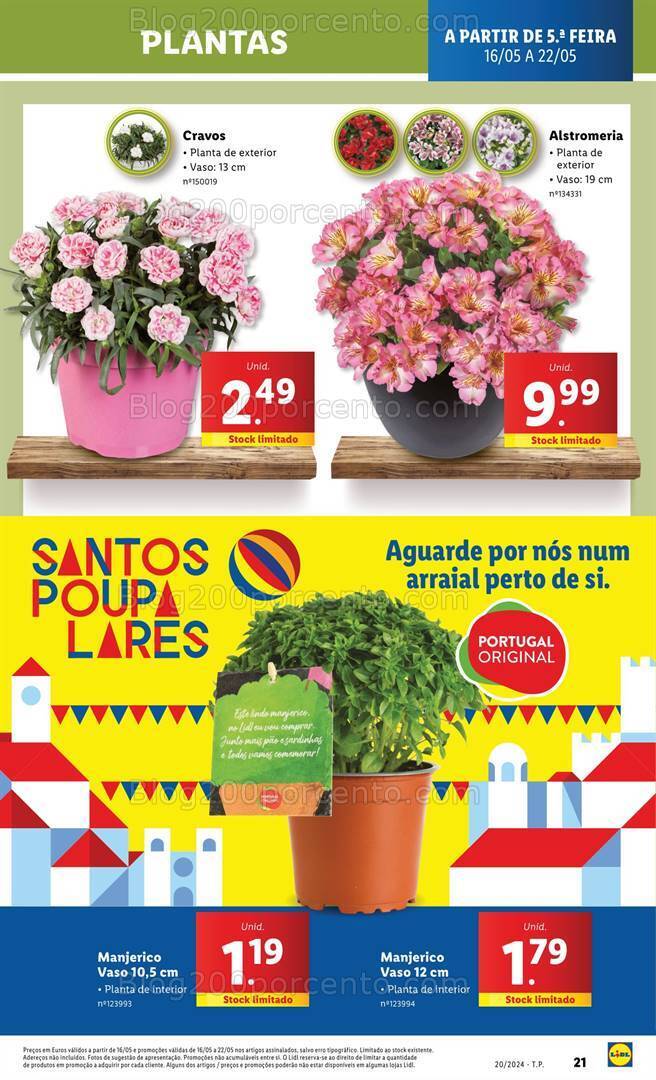 Antevisão Folheto LIDL Mercado de Plantas Promoções de 16 a 22 maio