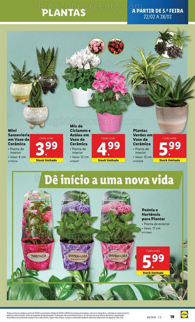Antevisão Folheto LIDL Promoções de 22 a 28 fevereiro