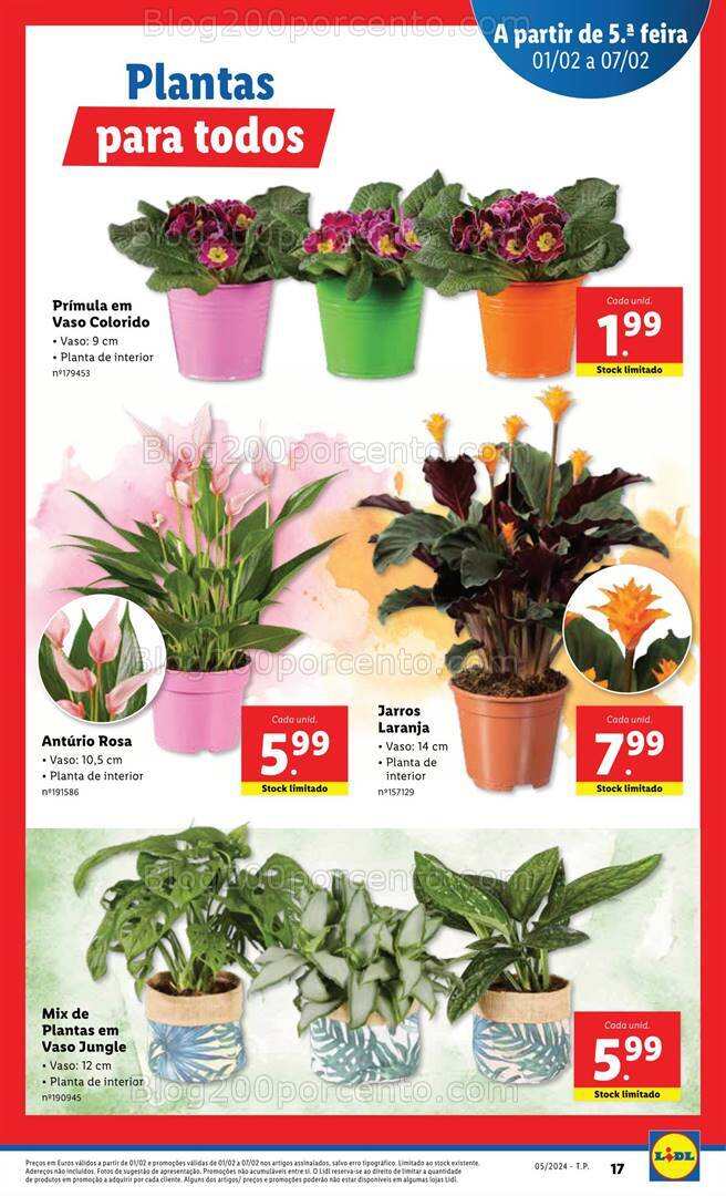 Antevisão Folheto LIDL Bazar + Promoções de 1 a 7 fevereiro