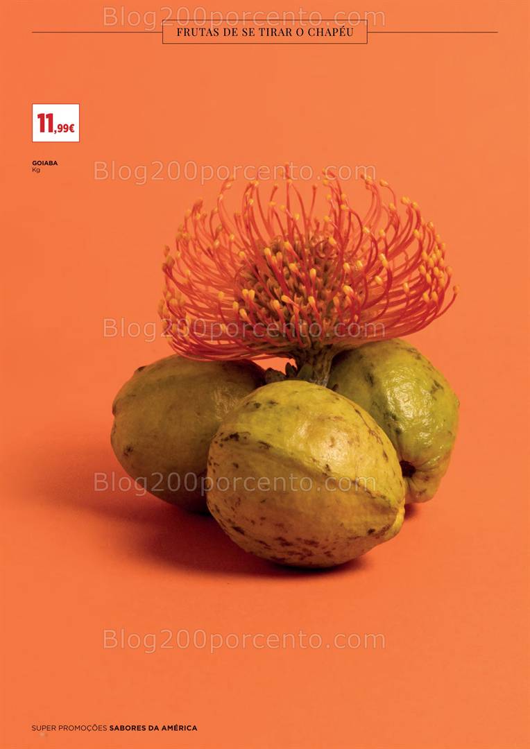 Antevisão Folheto EL CORTE INGLÉS Promoções de 9 a 22 maio