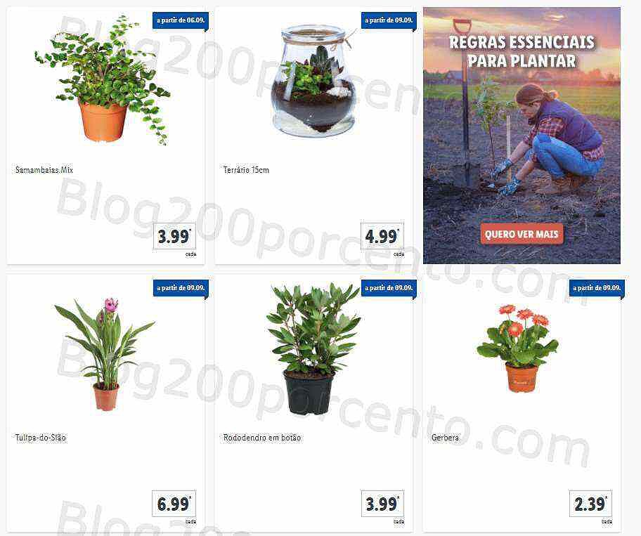 01 Promoções-Descontos-41743.jpg