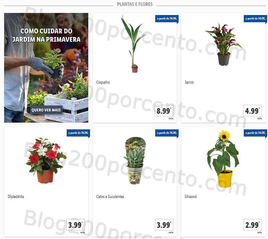 LIDL 14 a 20 junho