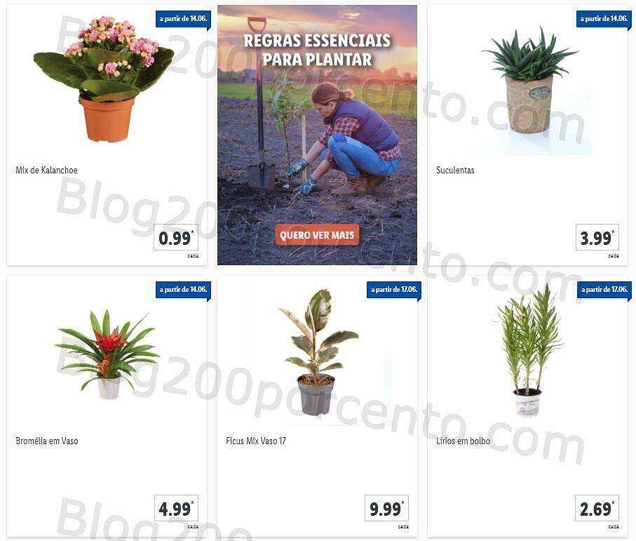 LIDL 14 a 20 junho