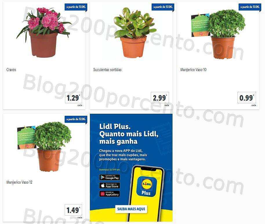 LIDL 14 a 20 junho