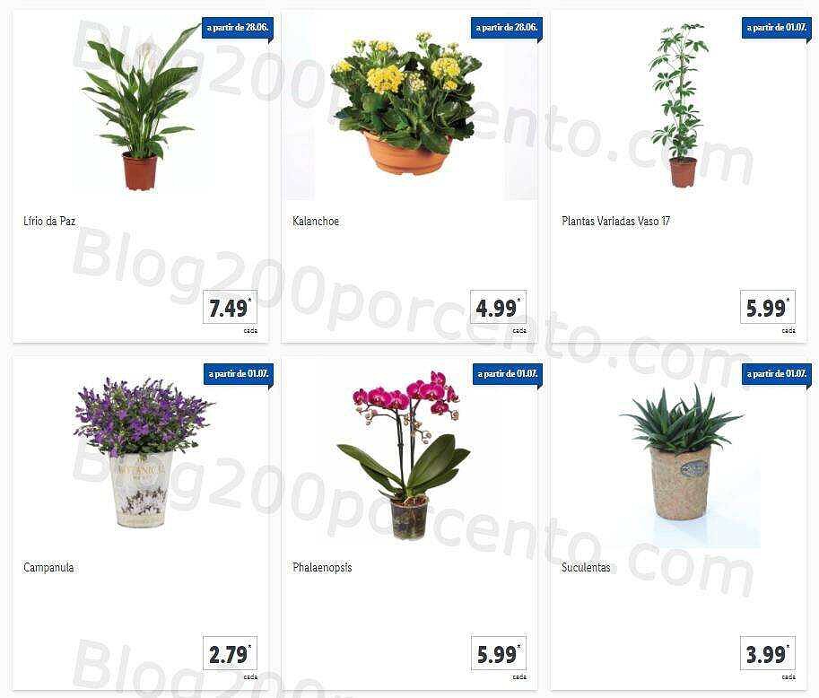 LIDL 28 julho a 4 julho