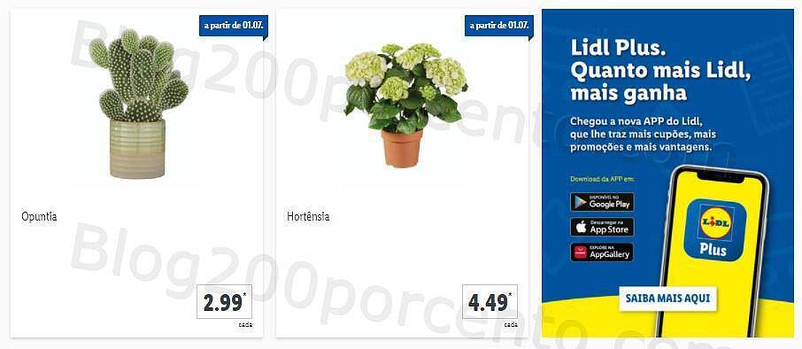 LIDL 28 julho a 4 julho