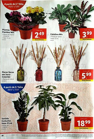 Lidl Folheto 5 a 11 julho
