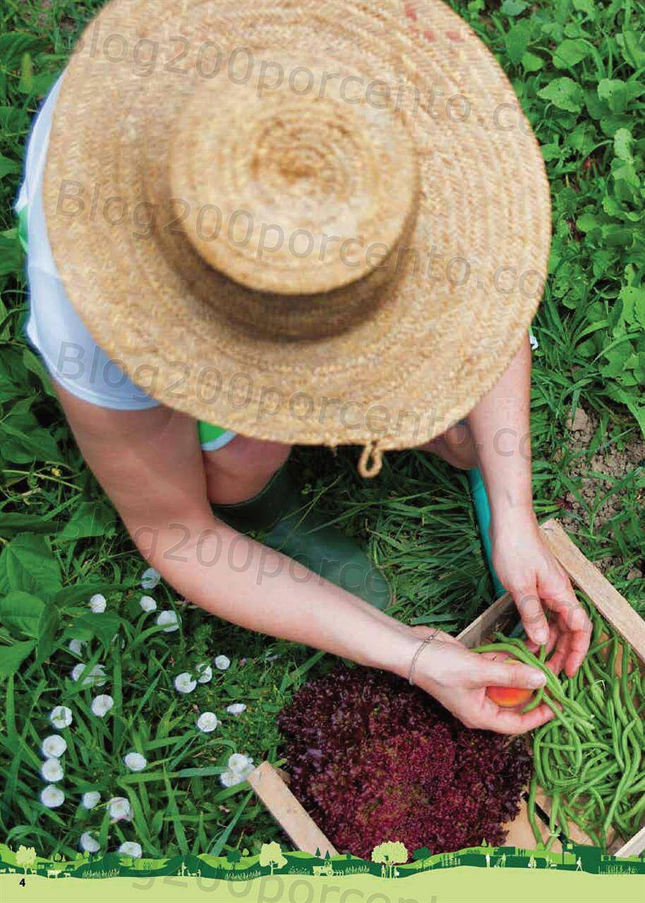 Novos no LIDL 7 junho