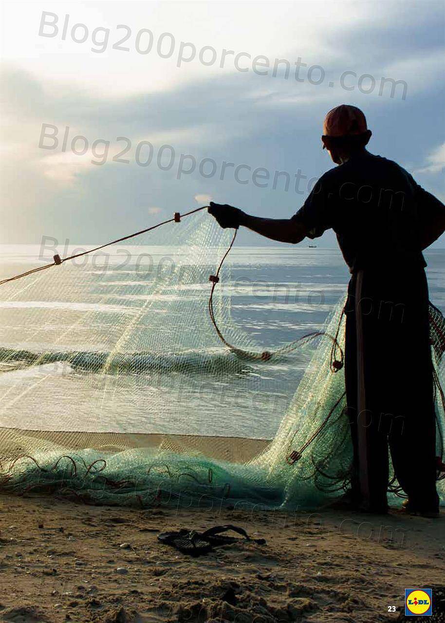 Novos no LIDL 7 junho