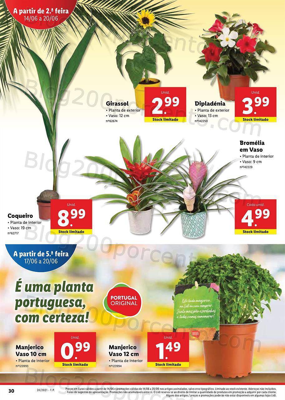 LIDL 14 a 20 junho