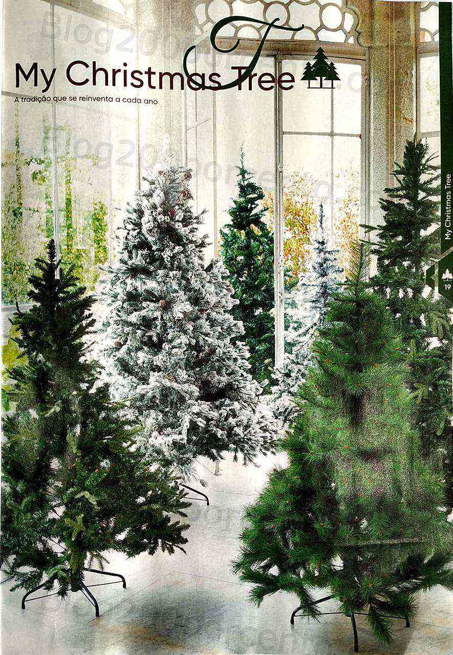 Homa Antevisão Folheto NATAL