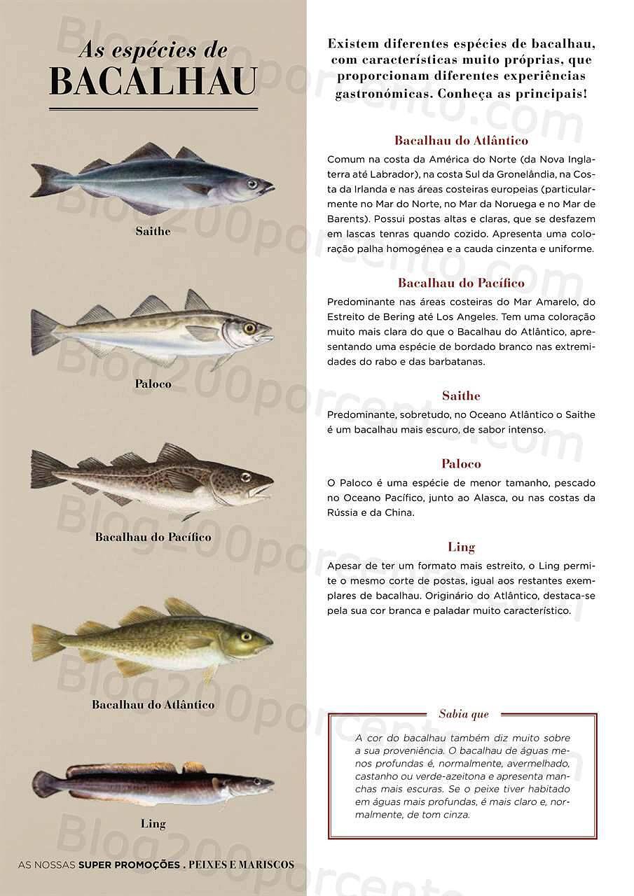 Folheto El Corte Inglés Natal