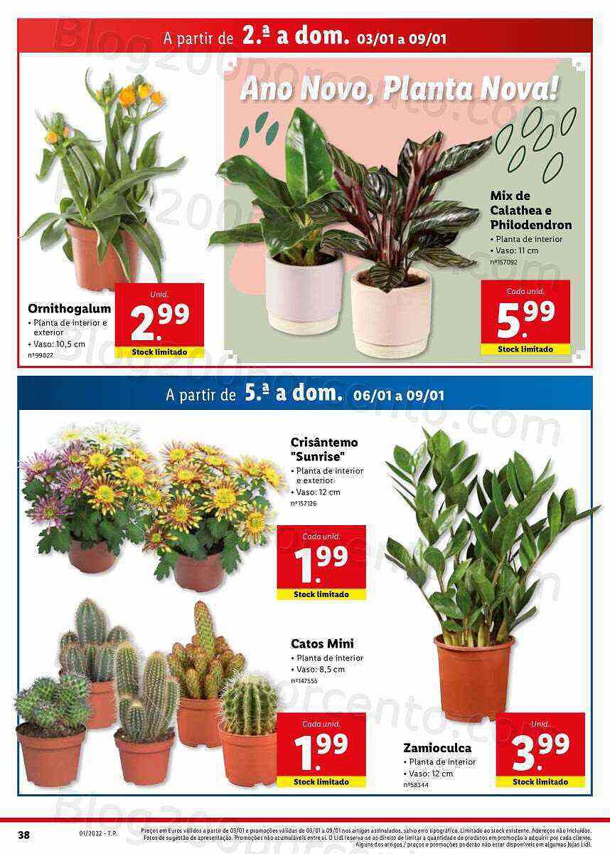 Folheto LIDL 3 a 9 janeiro