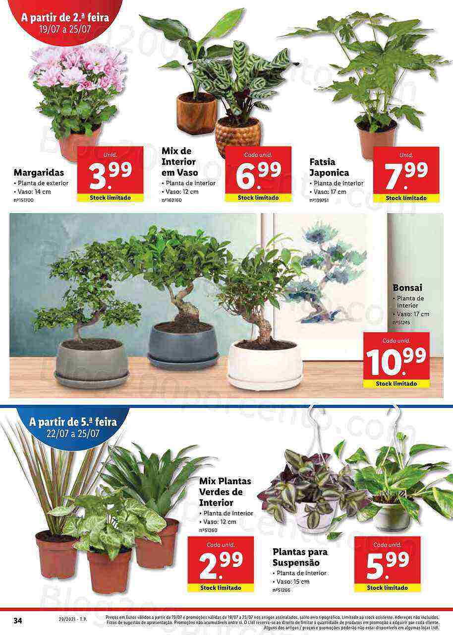 Lidl Folheto 19 a 25 julho