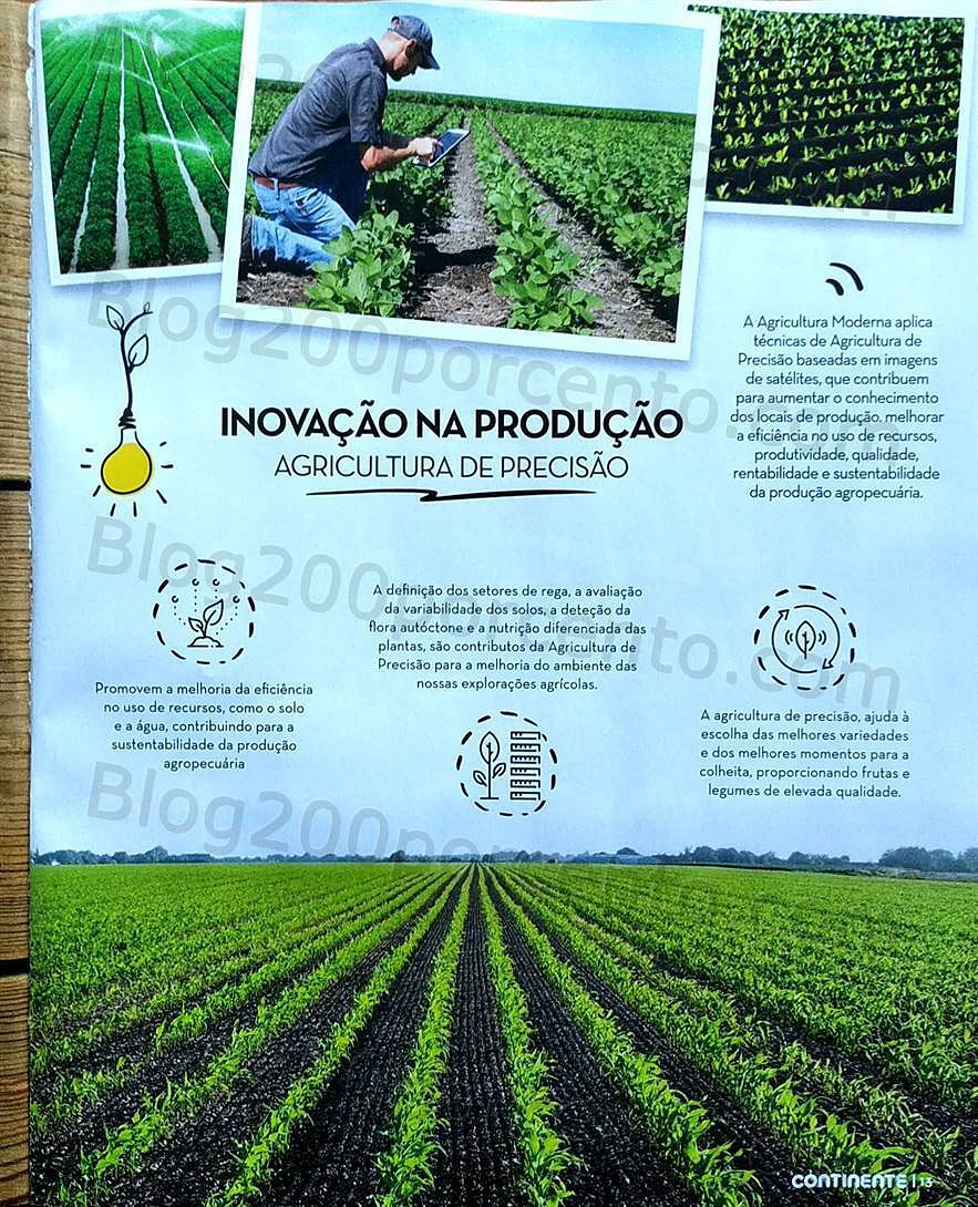 Antevisão Folheto Continente Frutas e Legumes 13 a 25 julho