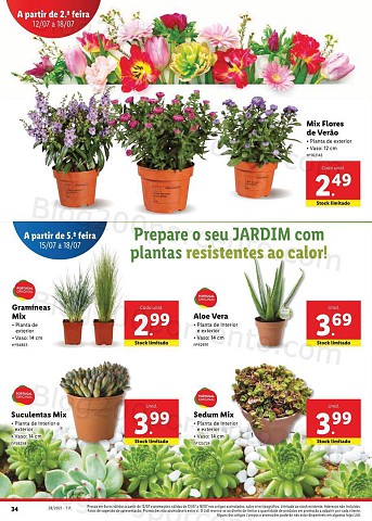 Antevisão Foheto LIDL 12 a 18 julho