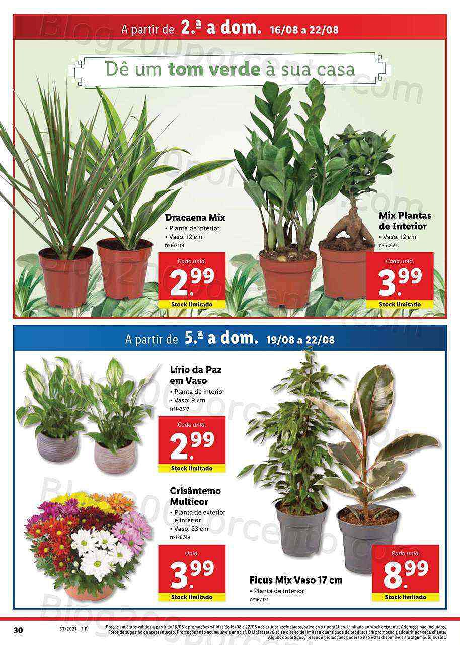 Antevisão Folheto LIDL 16 a 22 agosto - digital