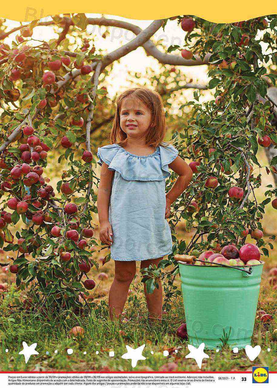 LIDL Bebé e Mamã 20 a 26 setembro