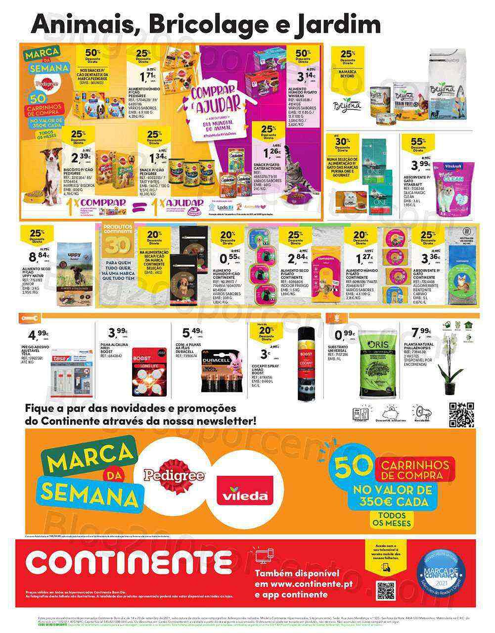 Bom Dia 14 a 20 setembro