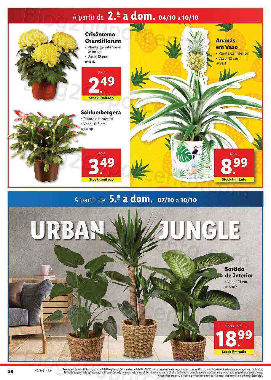 LIDL Digital 4 a 10 outubro