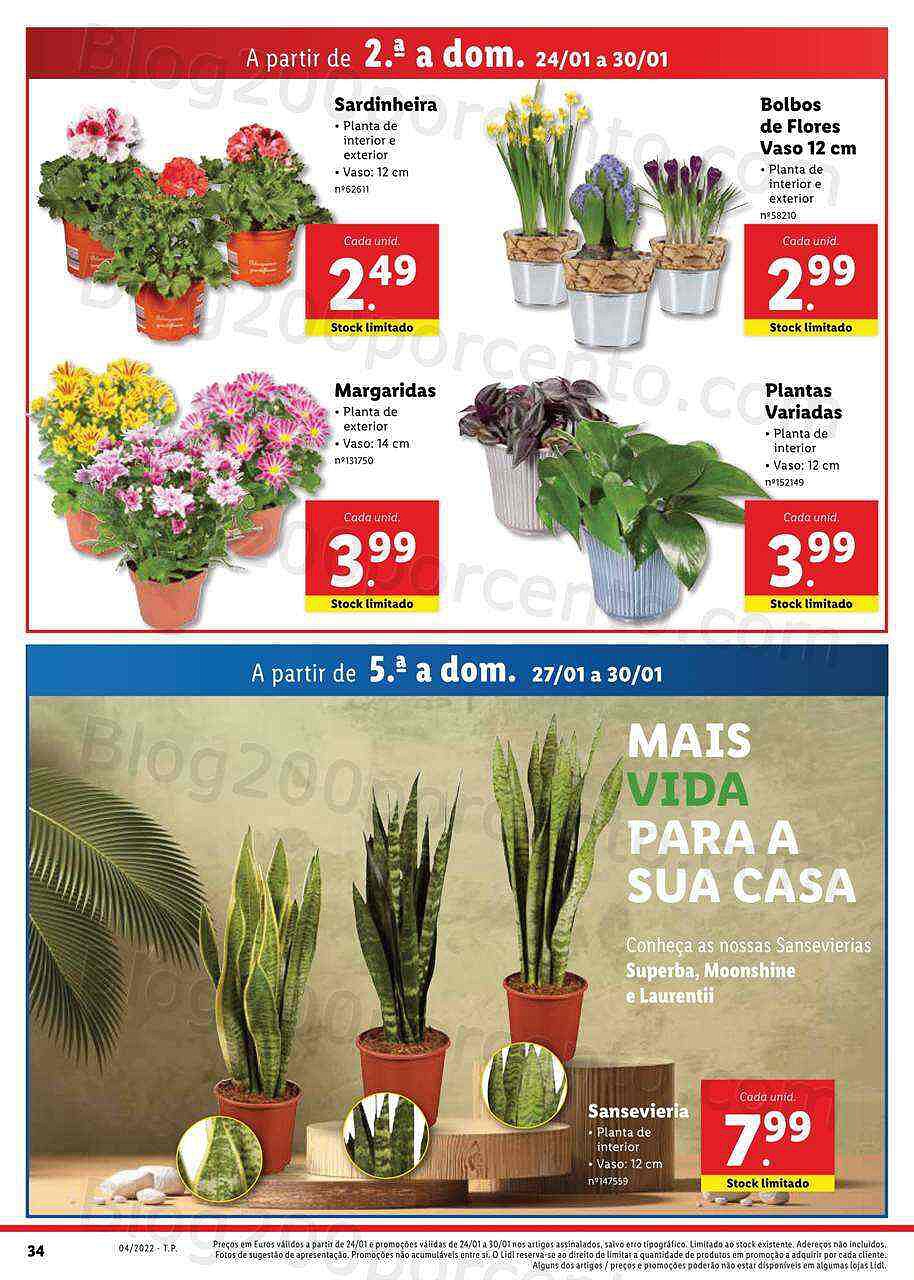 Lidl Digital 24 a 30 janeiro