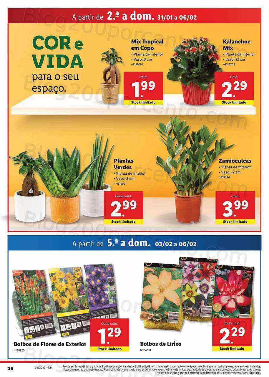 Lidl Ediçãi Digital 31 janeiro a 5 fevereiro