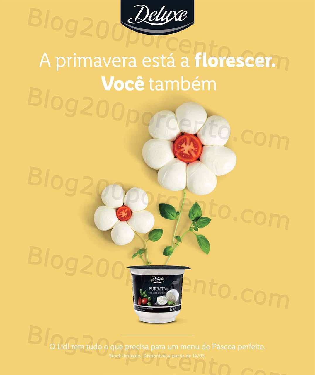 LIDL Primavera