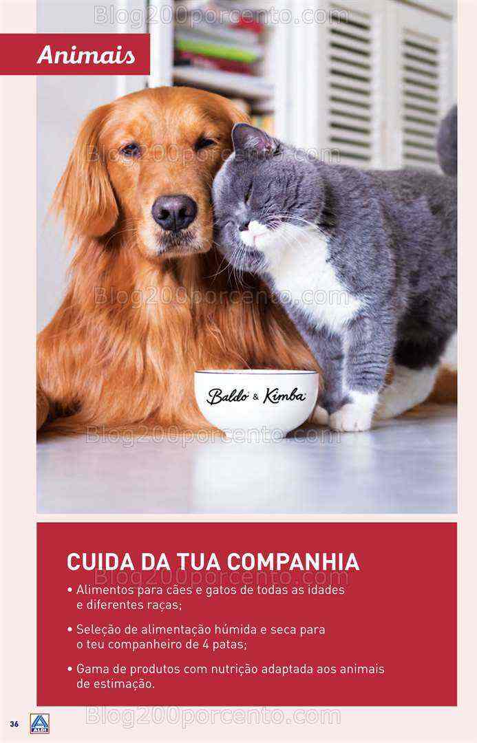 Antevisão Folheto ALDI Saldos de Abertura Promoções de 16 a 22 agosto