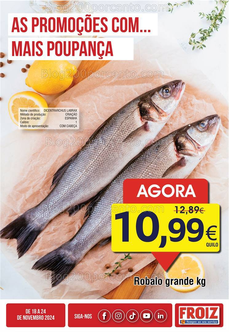 Antevisão Folheto FROIZ Promoções de 18 a 24 novembro