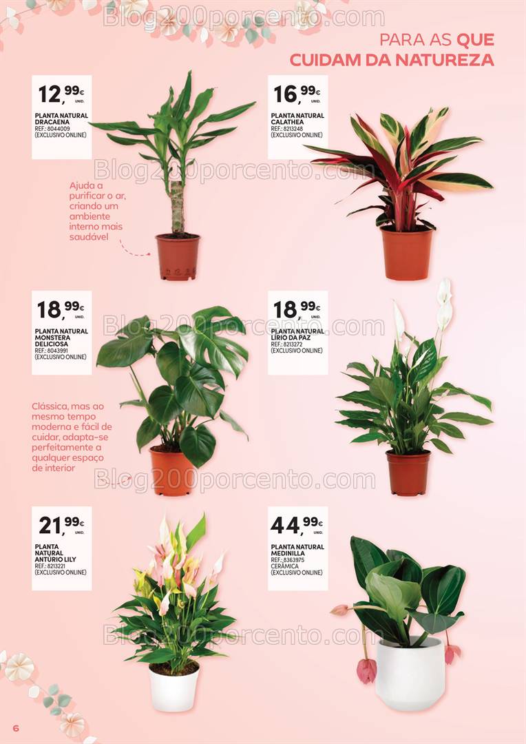 Antevisão Folheto CONTINENTE Dia da Mãe Promoções de 15 abril a 4 maio