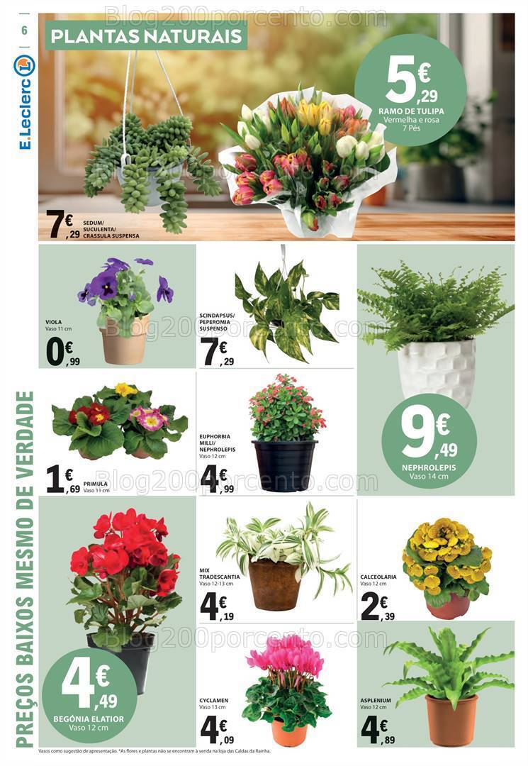 Antevisão Folheto E-LECLERC Bazar + Dia dos Namorados Promoções de 1 a 14 fevereiro