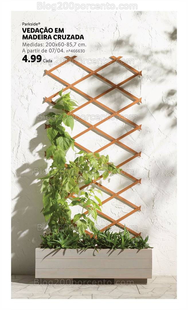 Antevisão Folheto LIDL Especial Jardim Promoções a partir de 7 abril