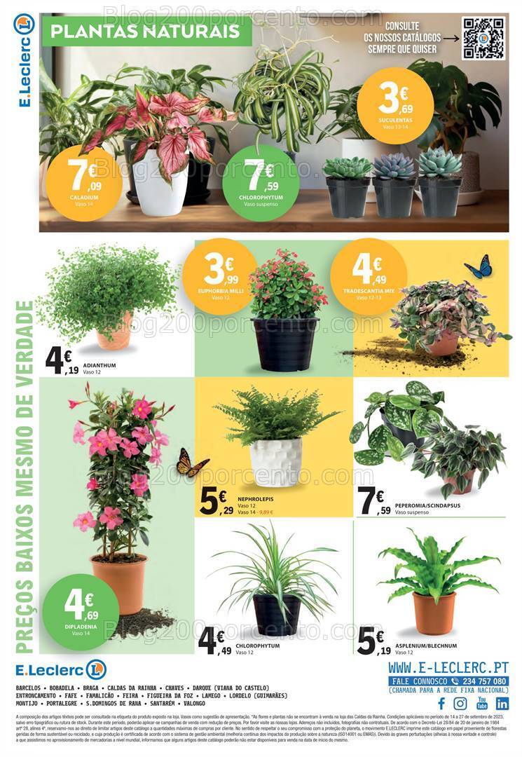 Antevisão Folheto E-LECLERC Bazar Promoções de 14 a 27 setembro