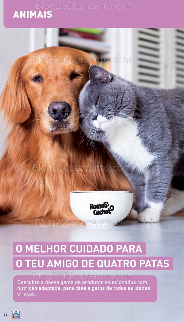 Antevisão Folheto ALDI Aberturas Promoções de 14 a 20 maio all