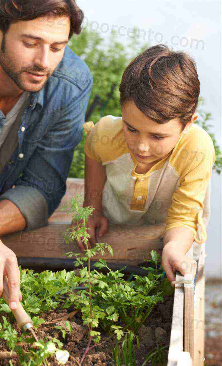 Antevisão Folheto LIDL Especial Jardim Promoções para Abril e Maio!