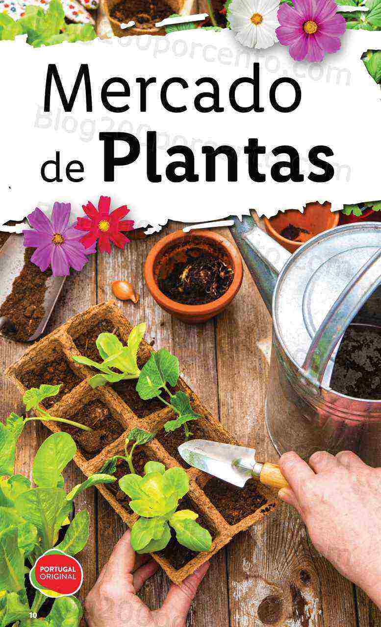 Antevisão Folheto LIDL Especial Jardim Promoções para Abril e Maio!