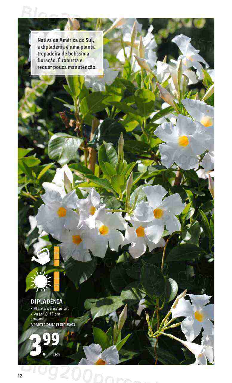 Antevisão Folheto LIDL Especial Jardim Promoções para Abril e Maio!