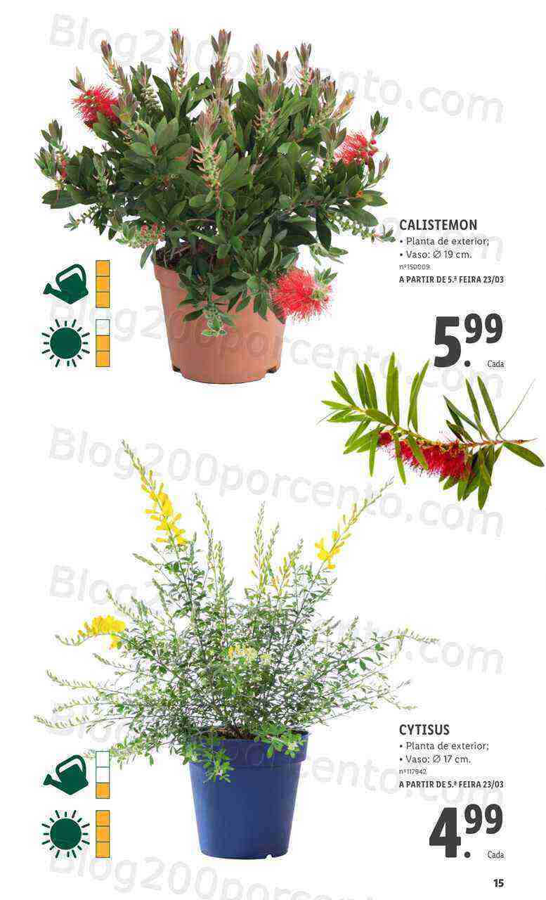 Antevisão Folheto LIDL Especial Jardim Promoções para Abril e Maio!