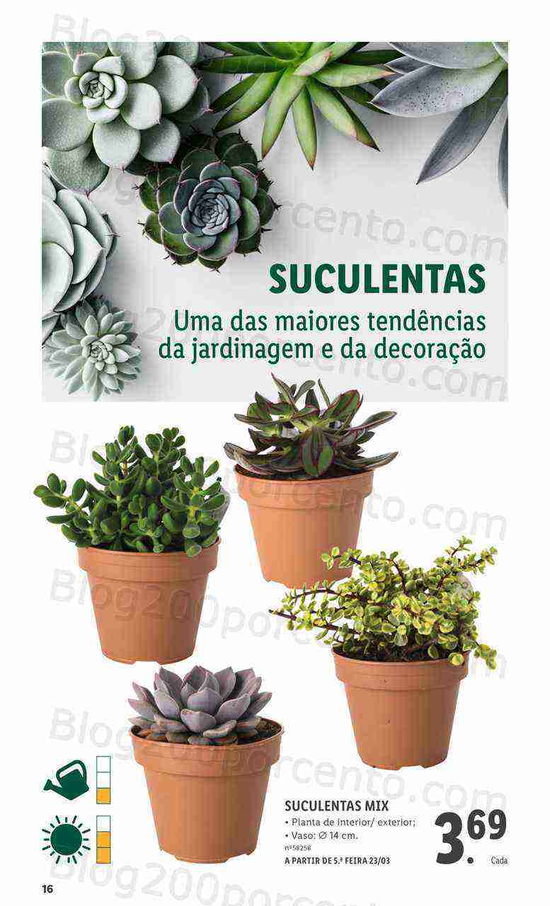 Antevisão Folheto LIDL Especial Jardim Promoções para Abril e Maio!