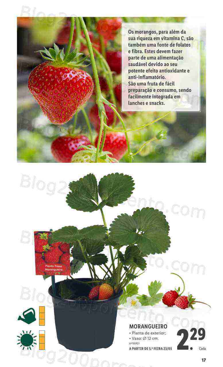 Antevisão Folheto LIDL Especial Jardim Promoções para Abril e Maio!