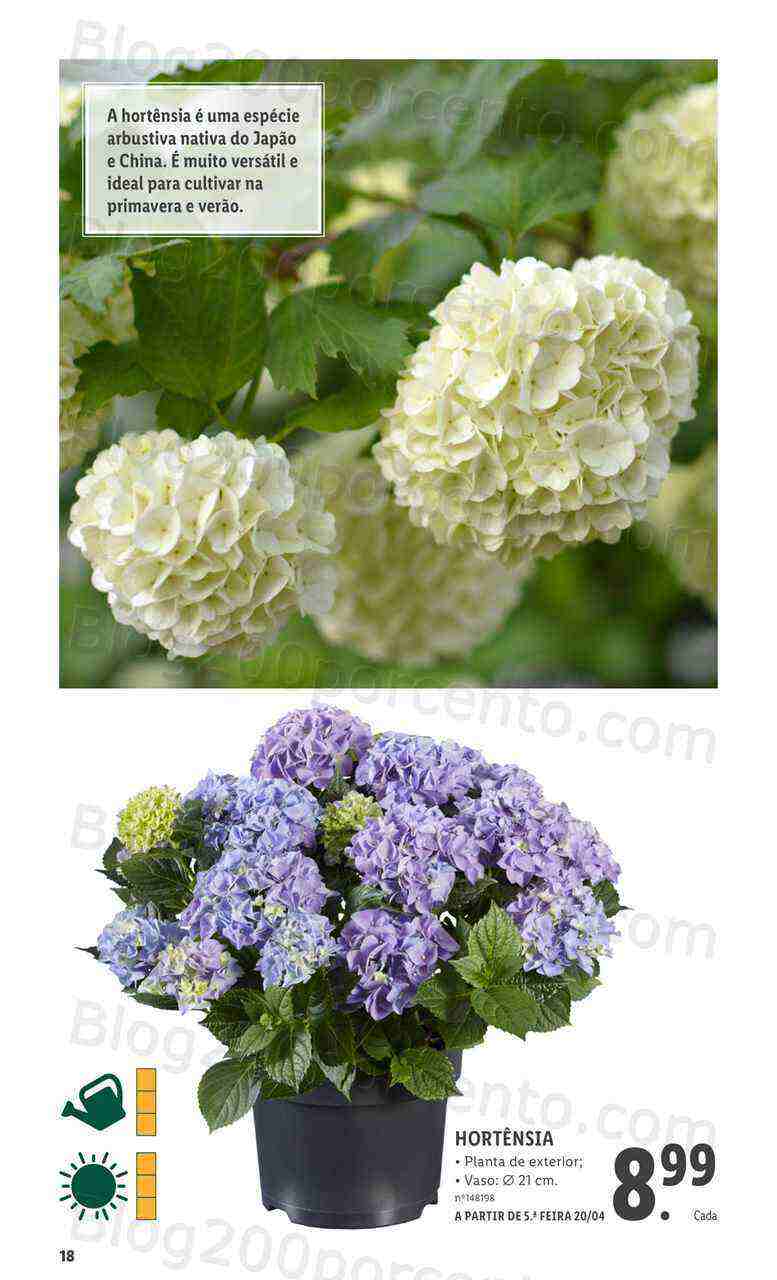 Antevisão Folheto LIDL Especial Jardim Promoções para Abril e Maio!