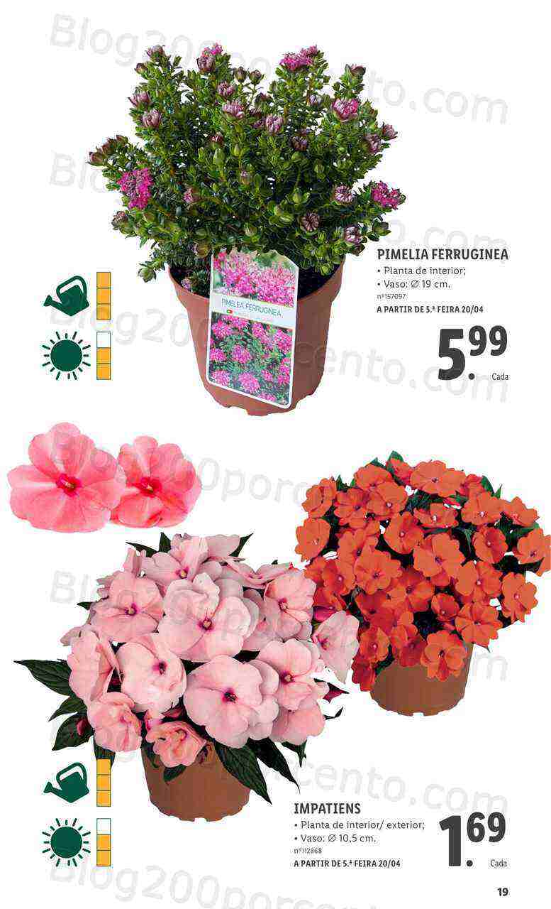 Antevisão Folheto LIDL Especial Jardim Promoções para Abril e Maio!